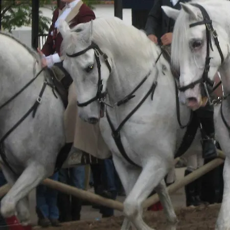 Dos Cavaleiros 3* 토레스노봐스