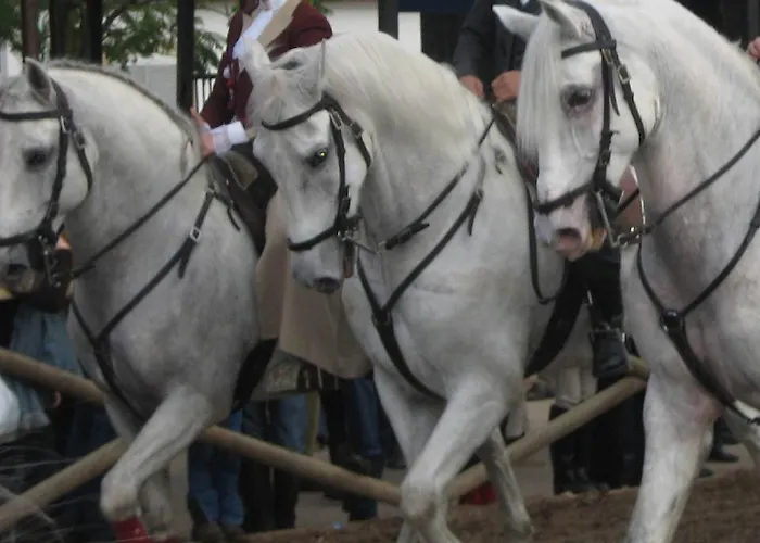 Dos Cavaleiros 3* Torres Novas